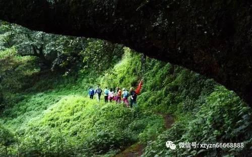 诡秘游戏