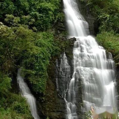全民烧脑3去广告版